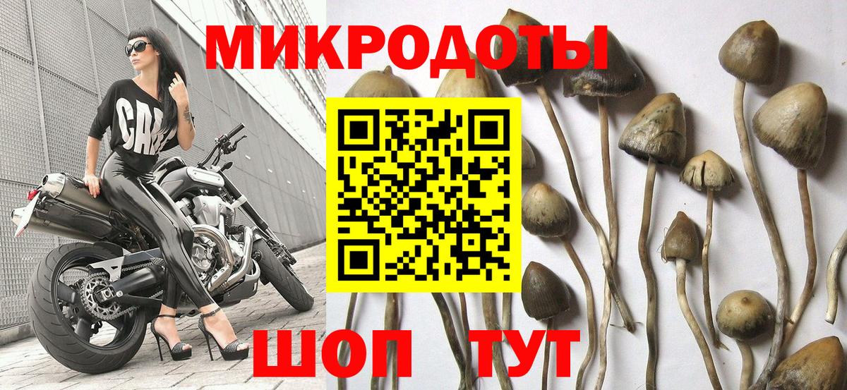 Галлюциногенные грибы Cubensis Белебей