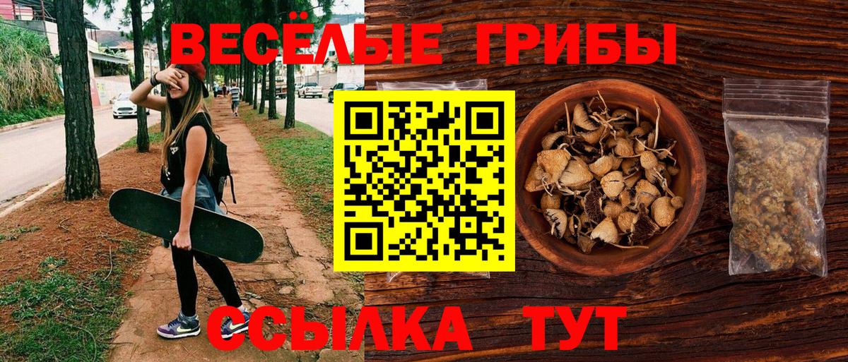 Галлюциногенные грибы мицелий  Вход с VPN  Псилоцибиновые грибы Psilocybine cubensis  Белебей 